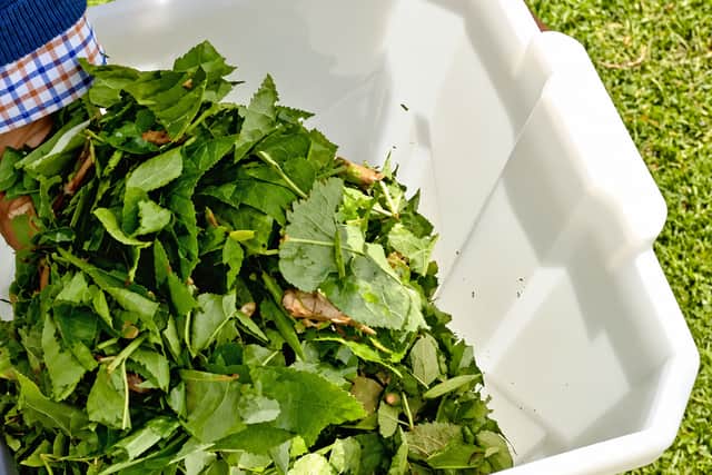 The shredded waste can be composted straight from the tub