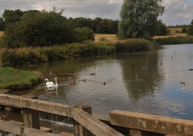 Police And Council To Clamp Down On Illegal Fishing In Melton Country Park Melton Times