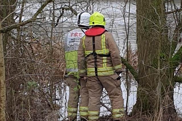 Firefighters arrive for the rescue of cocker spaniel Artie from an island at a lake at Melton Country ParkPHOTO WENDY GRAY EMN-191230-135559001