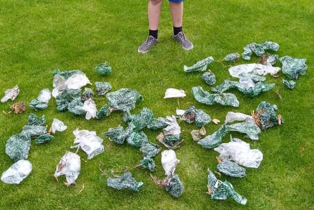 Some of the hundreds of plastic gloves and mitts found in bushes off Leicester Road, Wilton Court and Dalby Road by members of Melton Matters EMN-200909-134725001