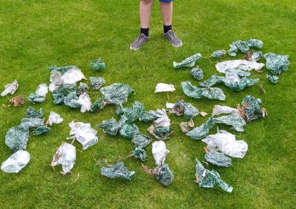 Some of the hundreds of plastic gloves and mitts found in bushes off Leicester Road, Wilton Court and Dalby Road by members of Melton Matters EMN-200909-134725001