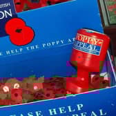 Poppy Appeal. EMN-201023-165020001