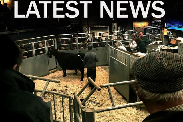 Latest cattle market news EMN-201021-132811001