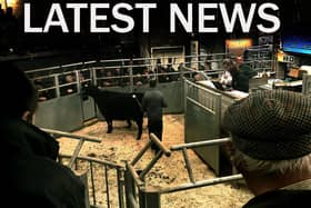 Latest cattle market news EMN-201021-132811001