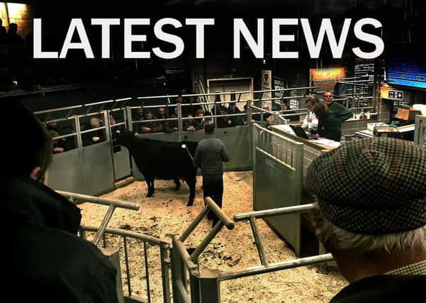 Latest cattle market news EMN-201021-132811001