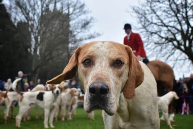 Cottesmore Hunt members gather in Melton on New Year's Day 2020 EMN-201211-131753001