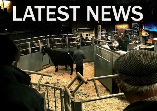 Latest cattle market news EMN-200212-093538001
