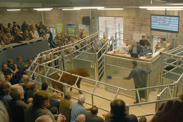 The auction ring in use at Melton Cattle Market before Covid restrictions came in EMN-200212-093512001