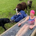Justine Sore braves near freezing temperatures to complete one of her fundraising dips in an animal water trough at her Melton farm EMN-210114-164318001