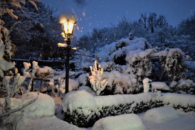 Roy Fisher sent us this photo of the garden at his home in Great Dalby EMN-210125-170207001