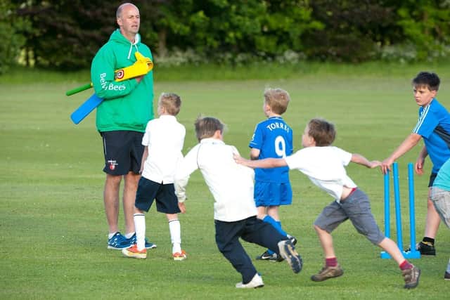 Coaching with the Bees is returning.