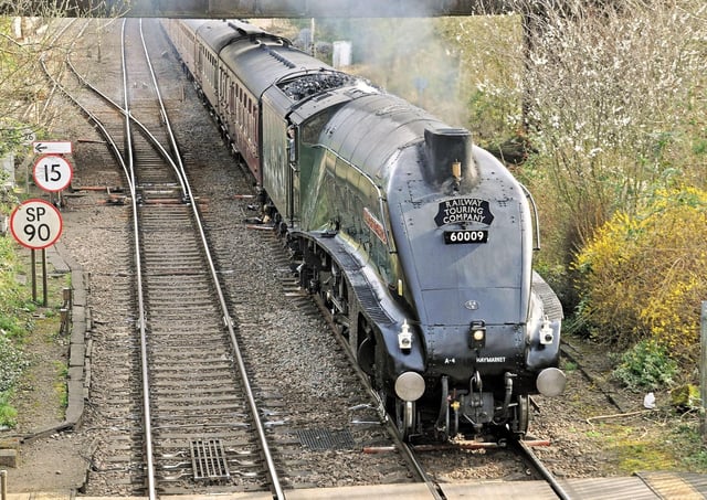 The majestic A4 pacific No 60009 Union of South Africa steam train pictured arriving in Melton on Saturday morning on its last visit to the town before going into a museum
PHOTO PAUL DAVIES EMN-200903-114136001