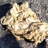 Kitchen roll which caused a pipes blockage in the Severn Trent region EMN-200304-131113001