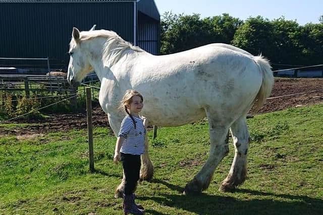 Merry Legs pictured with owner Lisa-Michelle Hall's daughter, Lexi EMN-200427-085330001