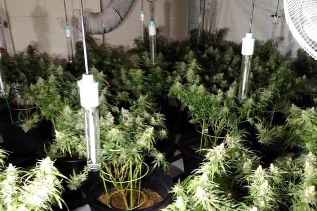 The cannabis farm which has been discovered by police in Melton EMN-201105-100304001