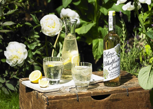 Elderflower Cordial produced by Belvoir Fruit Farms EMN-200206-095141001
