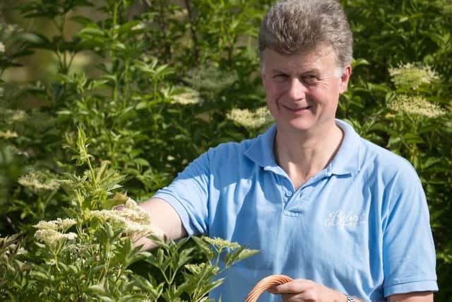 Belvoir Fruit Farms managing director Pev Manners picks elderflowers on one of the company's plantations EMN-200206-095203001