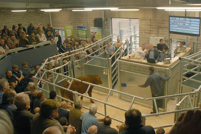 The auction ring at Melton Cattle Market, which is currently closed to all but registered buyers because of coronavirus restrictions EMN-200806-113037001