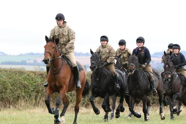The King's Troop Royal Horse Artillery enjoy an Autumn getaway and a well-deserved break from ceremonial duties at the Defence Animal Training Regiment in Melton Mowbray,
Content Creator: D. Garry Fox/ MOD Crown EMN-211014-161808001