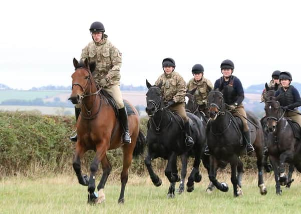 The King's Troop Royal Horse Artillery enjoy an Autumn getaway and a well-deserved break from ceremonial duties at the Defence Animal Training Regiment in Melton Mowbray,
Content Creator:  D. Garry Fox/ MOD Crown EMN-211014-161808001