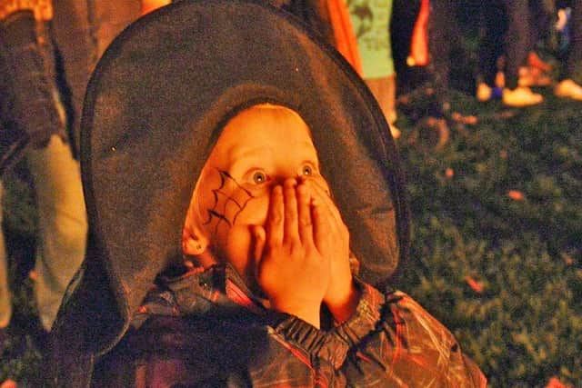 A thrilled child reacts to the fireworks display at Friday's Halloween event at Melton's Play Close 
PHOTO DEREK WHITEHOUSE EMN-210111-131126001