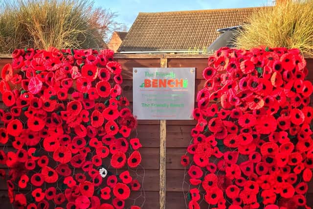 A colourful display of knitted poppies at Bottesford's Friendly Bench made by members of the community to mark Remembrance week EMN-210911-095246001