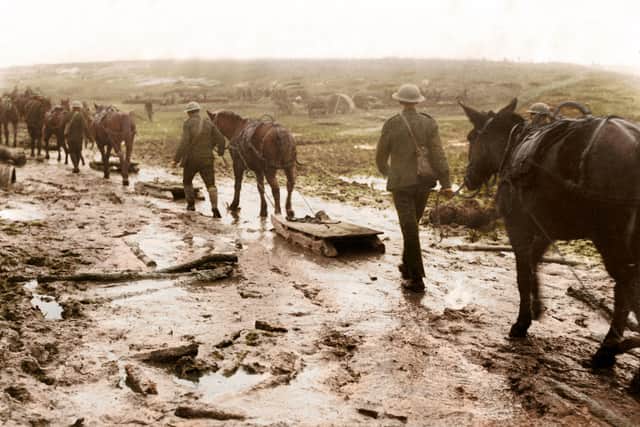 Colourised by Tom Marshall (PhotograFix) 2021. EMN-211124-100930001