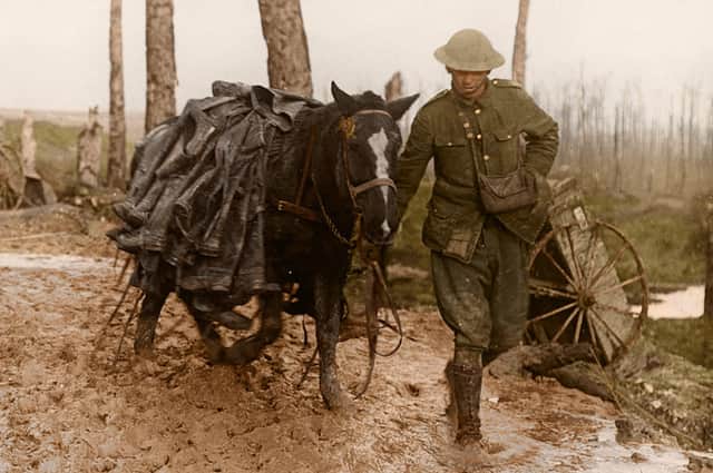 Colourised by Tom Marshall (PhotograFix) 2021. EMN-211124-100908001