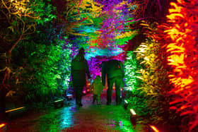 The Enlightened Light Trail at Belvoir Castle Photo: Zoltanphoto