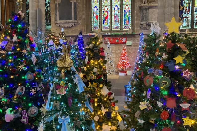 The Christmas Trees @ St Mary's festival EMN-210612-170225001