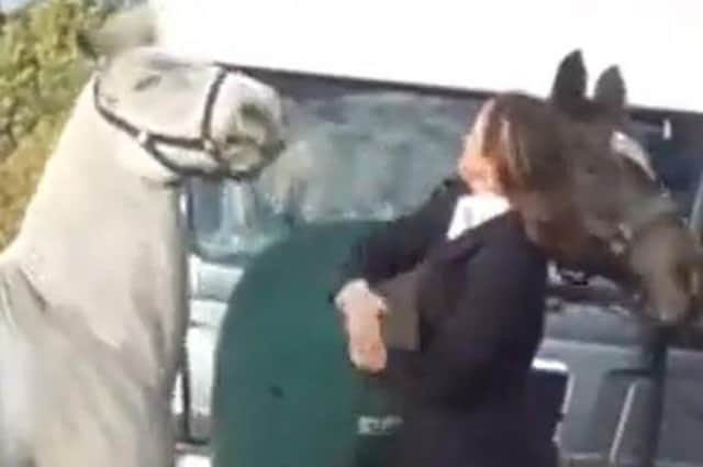 A still from the video posted by Hertfordshire Hunt Saboteurs showing a woman punching a horse in the head during a meeting of the Cottesmore Hunt EMN-211221-084030001