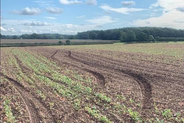 Damage caused by hare coursers or anti-social drivers to a field in Leicestershire EMN-211223-095143001