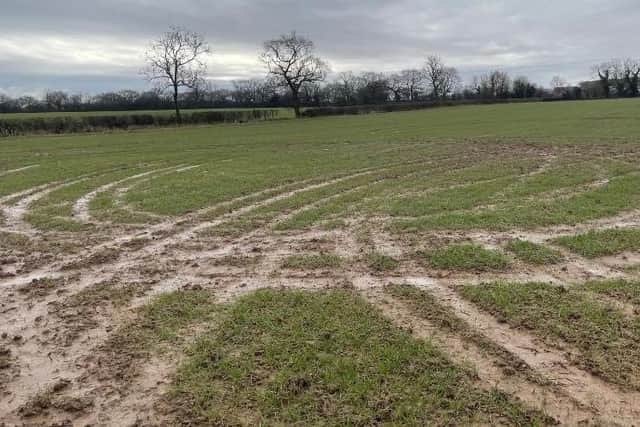 Damage caused by hare coursers or anti-social drivers to a field in Leicestershire EMN-211223-095203001