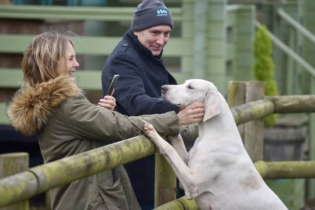 Onlookers pet a hound at the New Year's Day meet in Melton

PHOTO GEORGE ICKE EMN-220301-114916001