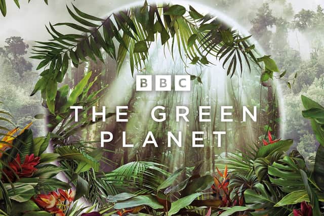 The new David Attenborough wildlife series, The Green Planet EMN-220701-181947001