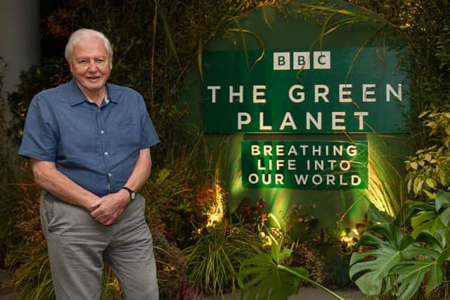 The new David Attenborough wildlife series, The Green Planet EMN-220701-181958001