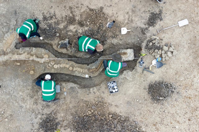 Palaeontologists working on the Ichthyosaur skeleton found at Rutland Water
August 26 2021
Matthew Power Photography
www.matthewpowerphotography.co.uk
07969 088655
matthew@matthewpowerphotography.co.uk
@mpowerphoto EMN-221001-102506001