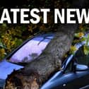 Latest storm news EMN-220217-151825001