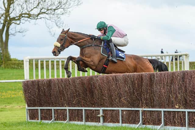 Jack Andrews is pictured winning on Al Shahir at Garthorpe last season. Photo: Nico Morgan/Midlands Pointing