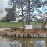 The island on the 18th has been planted.