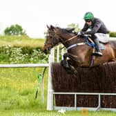 Caryto Des Brosses by Nico Morgan (Midlands Pointing).
