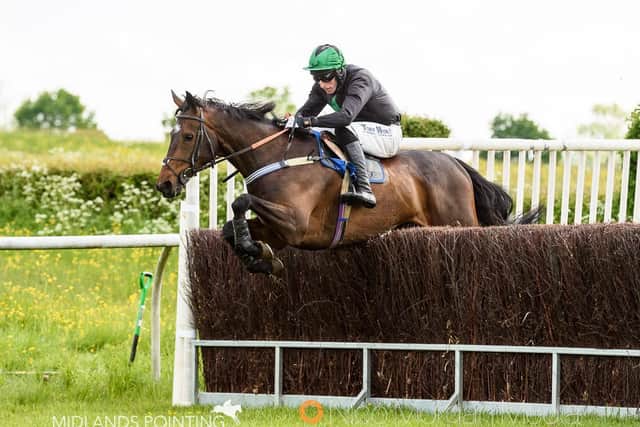 Caryto Des Brosses by Nico Morgan (Midlands Pointing).