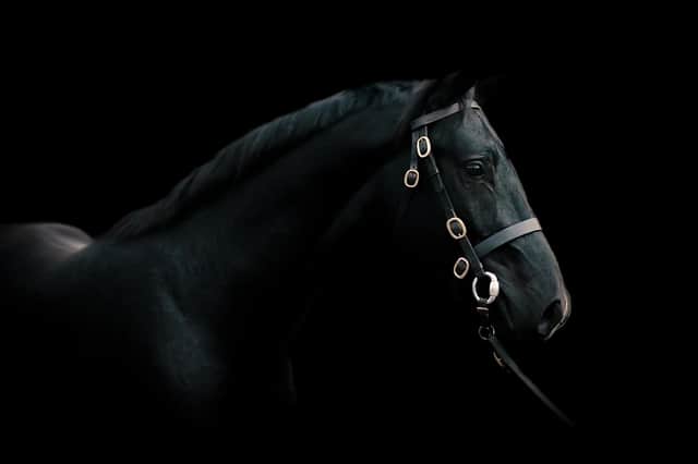 Churchill III. Photo: George Ryan, VLR Visual.
