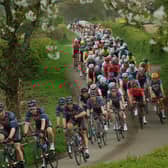 The CiCLE Classic returns next month. Photo: Tim Williams