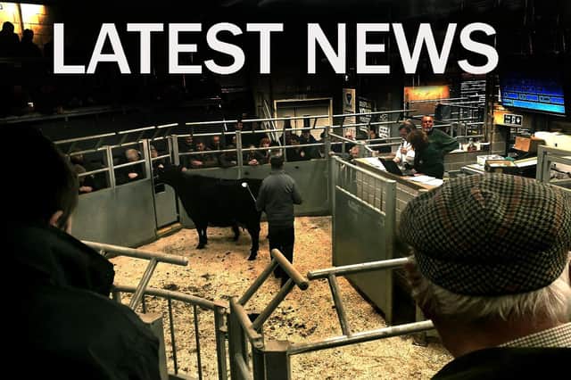 Latest cattle market news EMN-220404-152712001