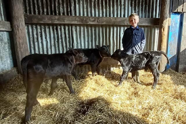 Harry Procter with the rare triplet calves born at his family's farm in Old Dalby EMN-210426-165916001