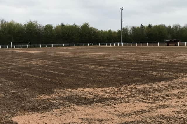 The pitch is taking shape.
