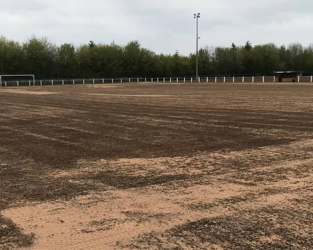 The pitch is taking shape.