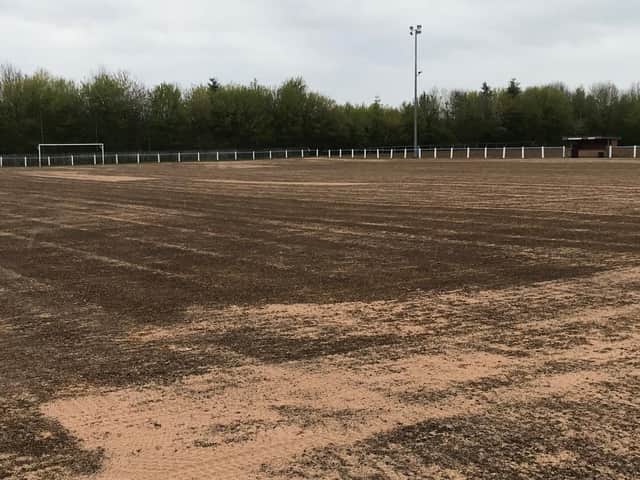 The pitch is taking shape.