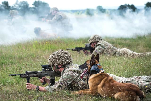 Military dogs and their handlers taking part in a live fire training exercise EMN-210514-163309001